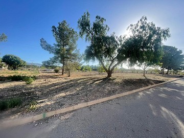 Land in Ubeda