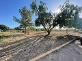 Terreno en Úbeda in Alicante Dream Homes Hondon