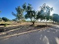 Land in Ubeda in Alicante Dream Homes Hondon