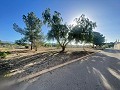 Terreno en Úbeda in Alicante Dream Homes Hondon