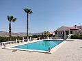 Villa met fantastisch uitzicht in een klein dorpje op enkele minuten afstand van Pinoso in Alicante Dream Homes Hondon