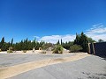 Großes Haus im Dorf in der Nähe von Pinoso und Monovar in Alicante Dream Homes Hondon