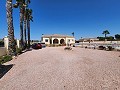 Villa de 3 chambres et 2 salles de bains à Catral avec piscine et accès asphalté in Alicante Dream Homes Hondon