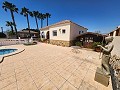 3 Bedroom, 2 bathroom Villa in Catral with pool and asphalt access in Alicante Dream Homes Hondon