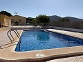 Villa with 3 Beds, large Pool & Summer Kitchen in Alicante Dream Homes Hondon