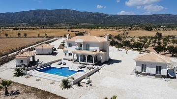 Amazing 6 Bedroom Villa Pinoso