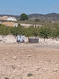 Building plot next to Ubeda in Alicante Dream Homes Hondon