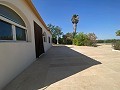 Tranquil 3 Bedroom Villa Pinoso in Alicante Dream Homes Hondon