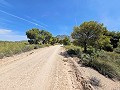 Maison de Campagne à Jumilla, Murcie in Alicante Dream Homes Hondon