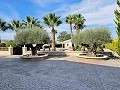 Belle ancienne bodega transformée en domaine unique avec possibilité de B&B ou casa rural. in Alicante Dream Homes Hondon