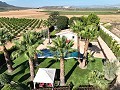 Prachtige oude bodega verbouwd tot uniek landgoed met mogelijkheid voor een B&B of casa rural. in Alicante Dream Homes Hondon