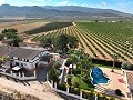 Wunderschöne alte Bodega, die in ein einzigartiges Anwesen mit der Möglichkeit eines B&B oder einer Casa Rural umgewandelt wurde. in Alicante Dream Homes Hondon