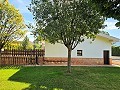 Beautiful old bodega converted into a unique estate with the possibility of a B&B or casa rural in Alicante Dream Homes Hondon