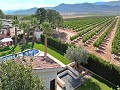 Belle ancienne bodega transformée en domaine unique avec possibilité de B&B ou casa rural. in Alicante Dream Homes Hondon