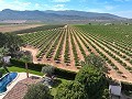 Beautiful old bodega converted into a unique estate with the possibility of a B&B or casa rural in Alicante Dream Homes Hondon