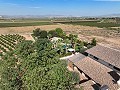 Beautiful old bodega converted into a unique estate with the possibility of a B&B or casa rural in Alicante Dream Homes Hondon