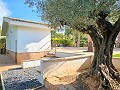 Prachtige oude bodega verbouwd tot uniek landgoed met mogelijkheid voor een B&B of casa rural. in Alicante Dream Homes Hondon