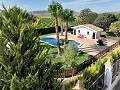 Belle ancienne bodega transformée en domaine unique avec possibilité de B&B ou casa rural. in Alicante Dream Homes Hondon