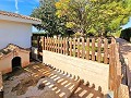 Beautiful old bodega converted into a unique estate with the possibility of a B&B or casa rural in Alicante Dream Homes Hondon