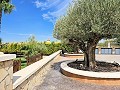 Wunderschöne alte Bodega, die in ein einzigartiges Anwesen mit der Möglichkeit eines B&B oder einer Casa Rural umgewandelt wurde. in Alicante Dream Homes Hondon