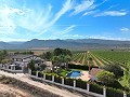 Beautiful old bodega converted into a unique estate with the possibility of a B&B or casa rural in Alicante Dream Homes Hondon