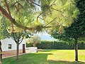 Wunderschöne alte Bodega, die in ein einzigartiges Anwesen mit der Möglichkeit eines B&B oder einer Casa Rural umgewandelt wurde. in Alicante Dream Homes Hondon