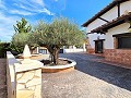 Belle ancienne bodega transformée en domaine unique avec possibilité de B&B ou casa rural. in Alicante Dream Homes Hondon