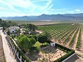 Wunderschöne alte Bodega, die in ein einzigartiges Anwesen mit der Möglichkeit eines B&B oder einer Casa Rural umgewandelt wurde. in Alicante Dream Homes Hondon