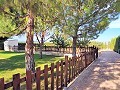 Wunderschöne alte Bodega, die in ein einzigartiges Anwesen mit der Möglichkeit eines B&B oder einer Casa Rural umgewandelt wurde. in Alicante Dream Homes Hondon