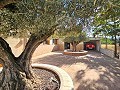 Belle ancienne bodega transformée en domaine unique avec possibilité de B&B ou casa rural. in Alicante Dream Homes Hondon