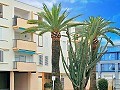 Apartamento de 2 dormitorios en Javea in Alicante Dream Homes Hondon