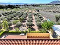 Villa mit wunderschöner Aussicht in Caudete in Alicante Dream Homes Hondon