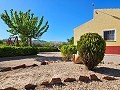 Villa mit wunderschöner Aussicht in Caudete in Alicante Dream Homes Hondon