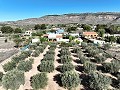 Villa mit wunderschöner Aussicht in Caudete in Alicante Dream Homes Hondon