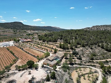 Finca espagnole unique avec un excellent potentiel à Pinoso