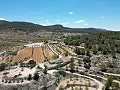 Finca española única con excelente potencial en Pinoso in Alicante Dream Homes Hondon