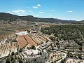 Finca española única con excelente potencial en Pinoso in Alicante Dream Homes Hondon