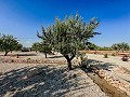 Superbes villas neuves avec terrain et piscine in Alicante Dream Homes Hondon