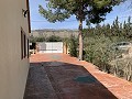 Villa mit 3 Schlafzimmern, großem Pool und Spaziergang in die Stadt in Alicante Dream Homes Hondon