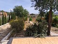 Villa mit 3 Schlafzimmern, großem Pool und Spaziergang in die Stadt in Alicante Dream Homes Hondon