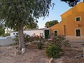 3 Bedroom Renovated house Yecla in Alicante Dream Homes Hondon