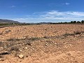 Terrain de 15 000 m2 à Pinoso avec électricité sur place et eau potable à proximité in Alicante Dream Homes Hondon