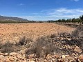 15.000m2 de terreno en Pinoso con luz en el lugar y agua potable cerca in Alicante Dream Homes Hondon