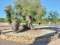 Villa mit unglaublicher Aussicht in einem kleinen Dorf nur wenige Minuten von Pinoso entfernt in Alicante Dream Homes Hondon