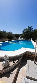 Charming 5 Bedroom 3 Bathroom Country House in Alicante Dream Homes Hondon