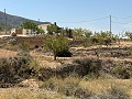 Schönes Landhaus mit 3 Schlafzimmern in Alicante Dream Homes Hondon