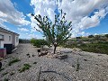 Huis met 3 slaapkamers en 15 kW zonne-energie met grote kamers in Alicante Dream Homes Hondon