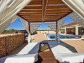 Villa Pinoso de 3 dormitorios y 2 baños in Alicante Dream Homes Hondon