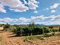 Beautifully Preserved Country Home in a Stunning Yecla Location in Alicante Dream Homes Hondon