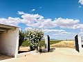 Beautifully Preserved Country Home in a Stunning Yecla Location in Alicante Dream Homes Hondon